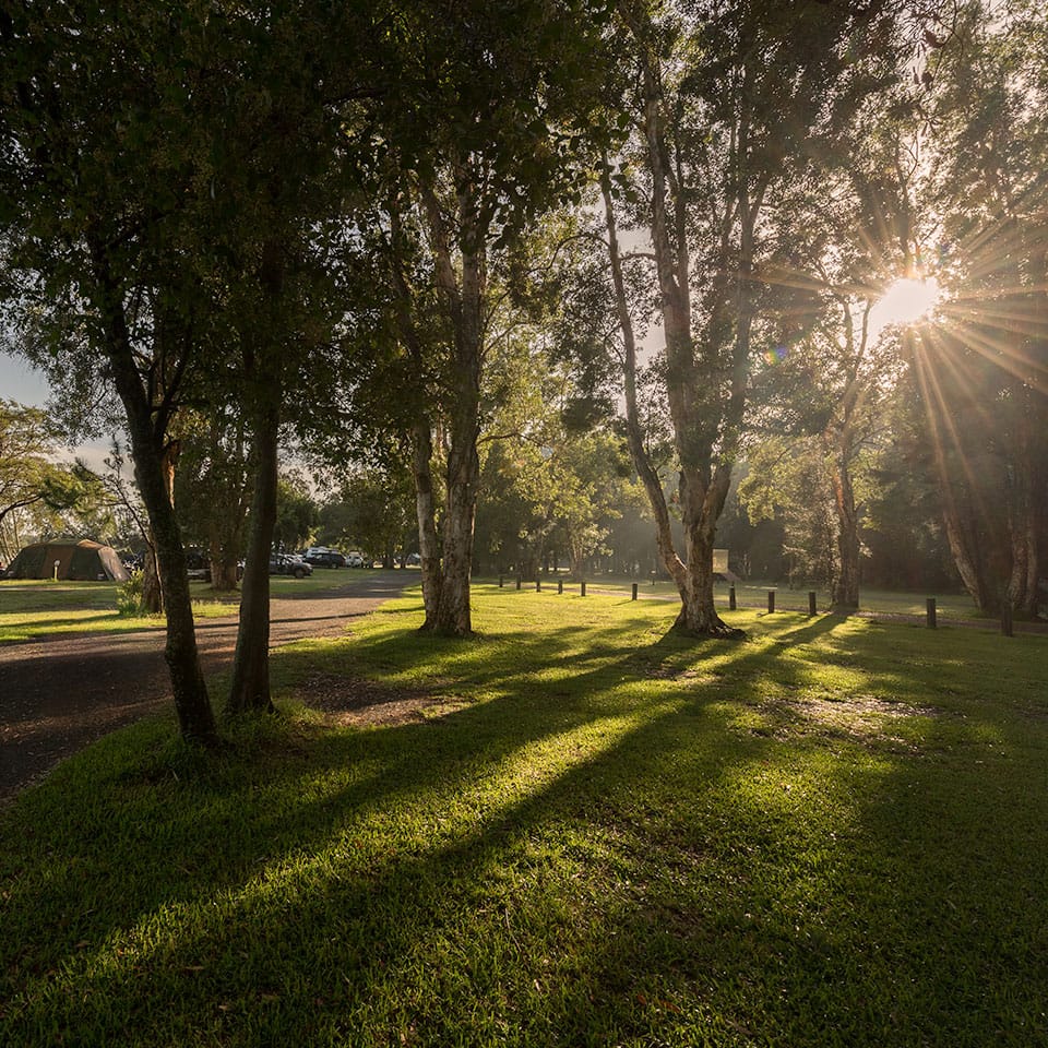 Review Myall River Camp | Connect with Nature, Hawks Nest, NSW Mid North Coast, glamping tents, tiny houses, campsites, shady campsites